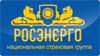 Отзыв «НСГ – «РОСЭНЕРГО» по проекту перехода на Новый план счетов