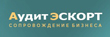 Партнер «1С» ГК «Аудит-Эскорт» протестировала программный продукт «Хомнет:МСФО» 